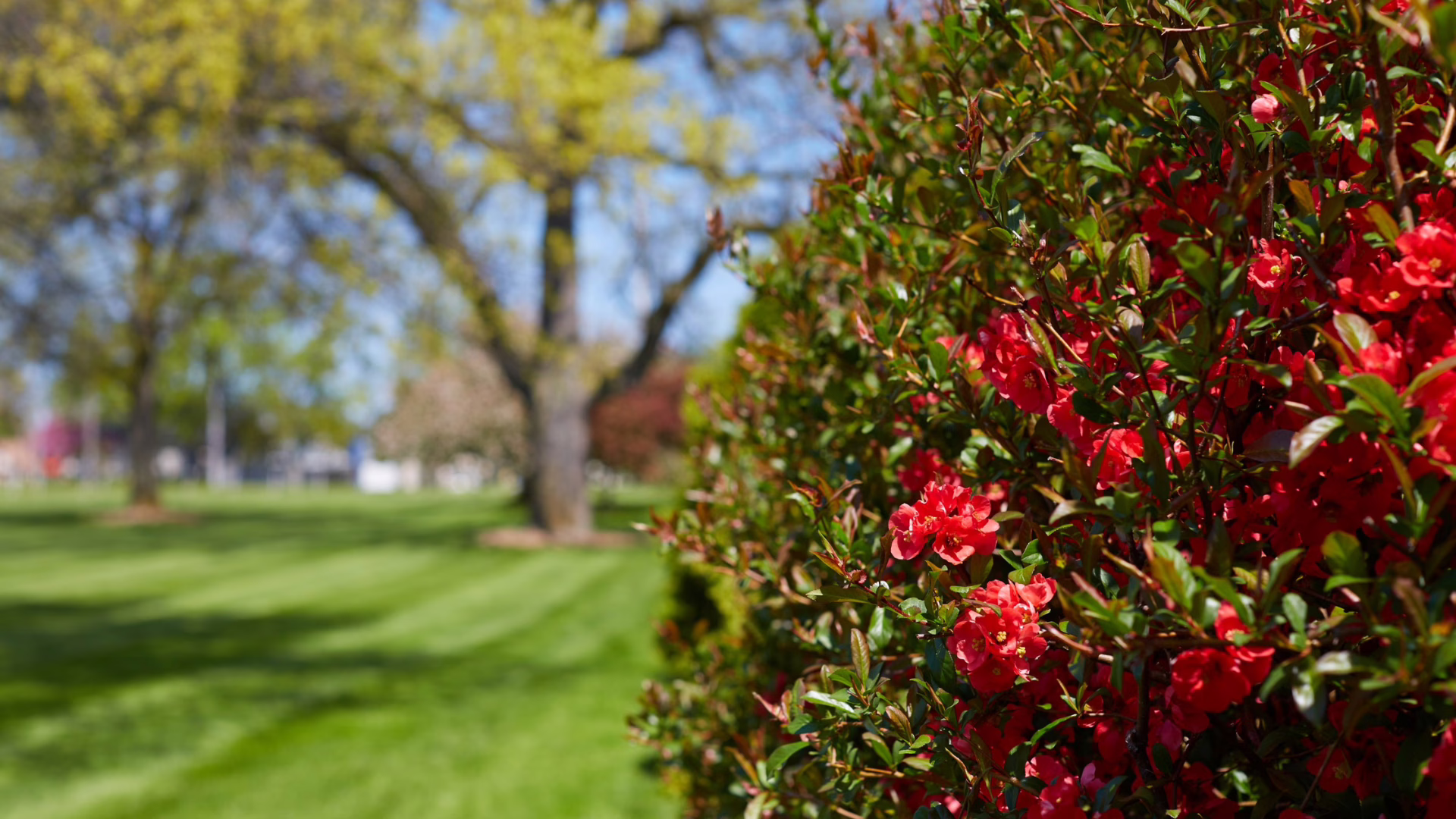 4833 Town Center Dr S.E., Grand Rapids, MI 49512